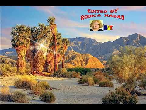 ANZA BORREGO DESERT STATE PARK IN CALIFORNIA USA A !