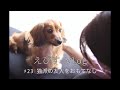 【猫派を犬がおもてなし】お家にお客様が来ました