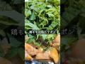 鶏ももの梅バタポン #酒 #つまみ #レシピ