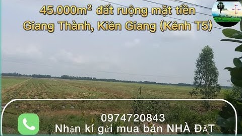 45 công ruộng 3 vụ mặt tiền Giang Thành, Kiên Giang | 95tr/ công | Nhà đất Tịnh Biên - An Giang