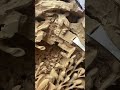 The process of carving wood creates beautiful carvings #youtubeshorts