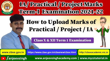How to upload Class 12 Practical  IA Project  Marks
