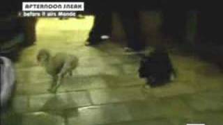 Hilaryxxlogan First Video