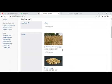 تنسيق مقالة مترجمة عبر موسوعة ويكيبيديا العربية