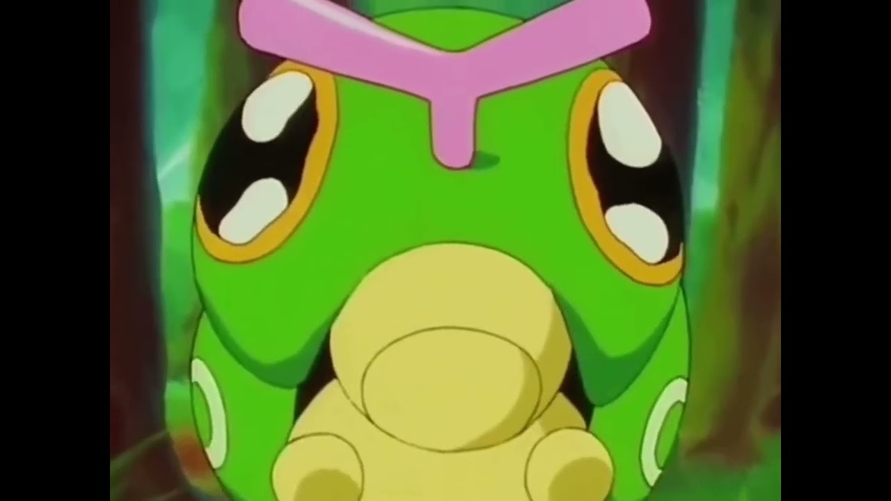 me being afraid of bugs like misty from the anime (owo) 🥺🌸💘💕💗