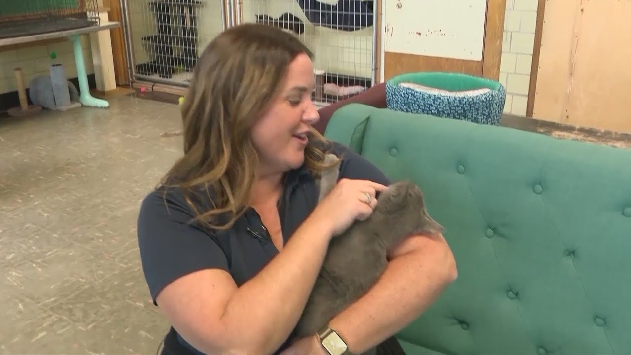 Effingham County Humane Society