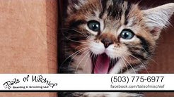 Tails of Mischief Boarding & Grooming LLC | Pet Daycare & Boarding in Milwaukie 