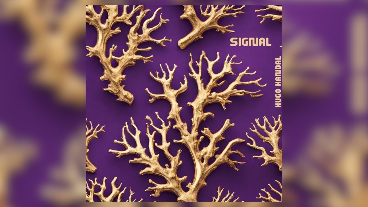 Hugo Handal - Signal (Original mix) [Euphyllia records] - YouTube