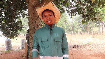 UNN Profiles: Solomon Kanenechi Obi , Crop Science