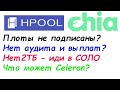 Hpool проблемы до 31 мая ухожу в соло CHIA майнинг на СЕЛЕРОН