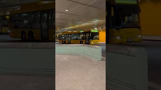 297 i Skåne #bus #skåne #scania #helsingborg