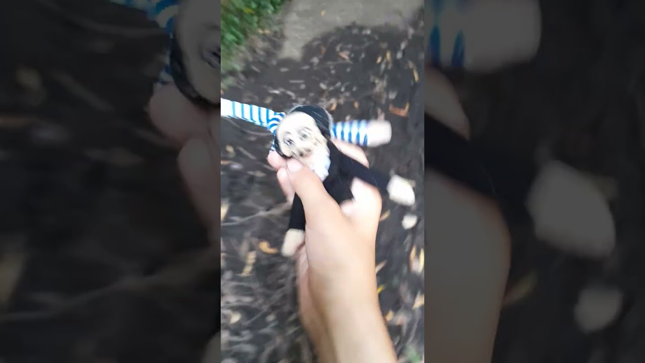 My walk in the Helensburgh tunnel