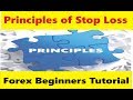 Without Forex Loss Trading Stop