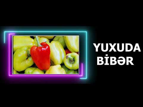 Video: Bibərli nə deməkdir?