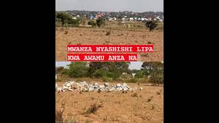 VIWANJA VINAUZWA MWANZA NYASHISHI CALL 0757502380 WHRTSUP 0757502380 installament m 2.5 cash m 3.