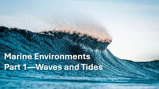 Marine Environments Part 1 Waves and Tides