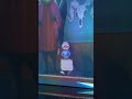 ディズ二-イマジニングエクスプリエンス