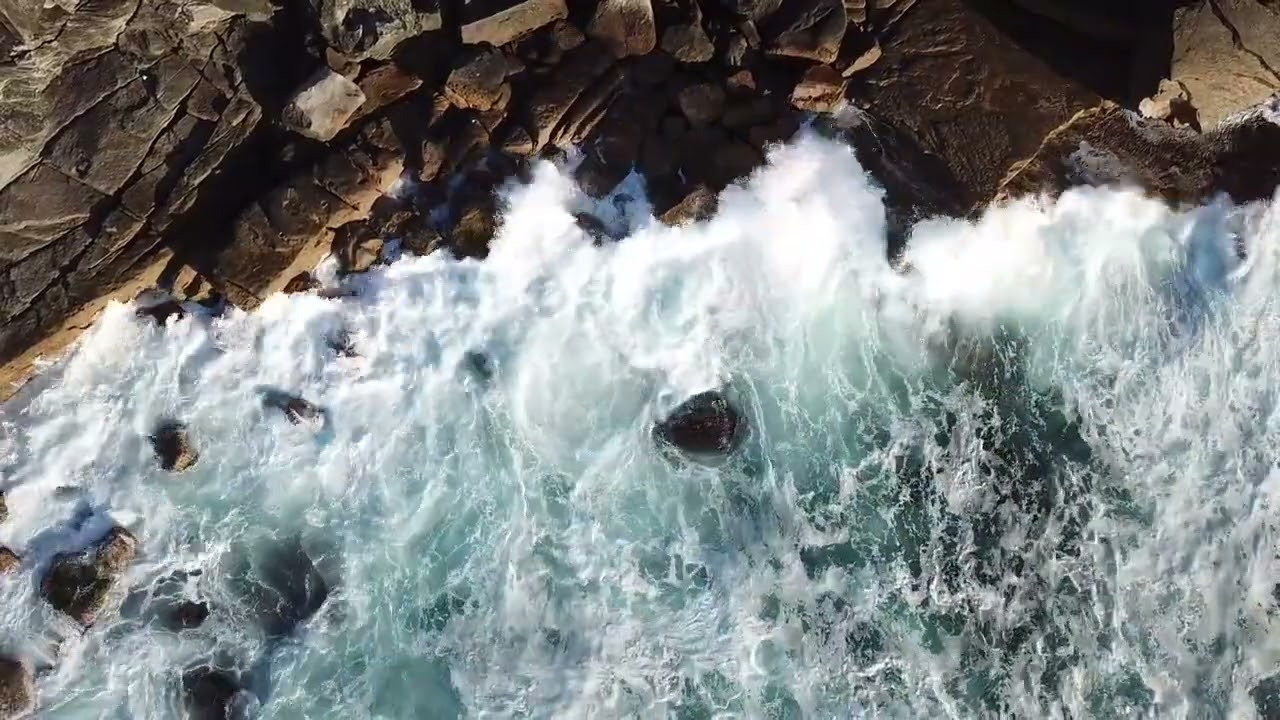Meditación para sentir, conectar y agradecer cada mañana | La Bio-Lógica | Laura Brando