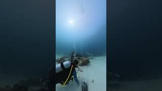 #insta360x6 #scubadiving
