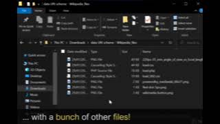SingleFile Extension 