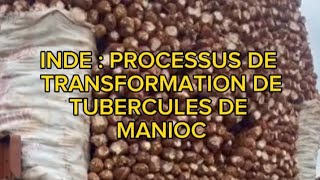 FOM TV | Processus de transformation des tubercules de manioc en Inde