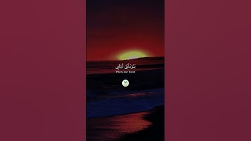 سورة الفرقان _ الآية 26 -- 29 "  🕋