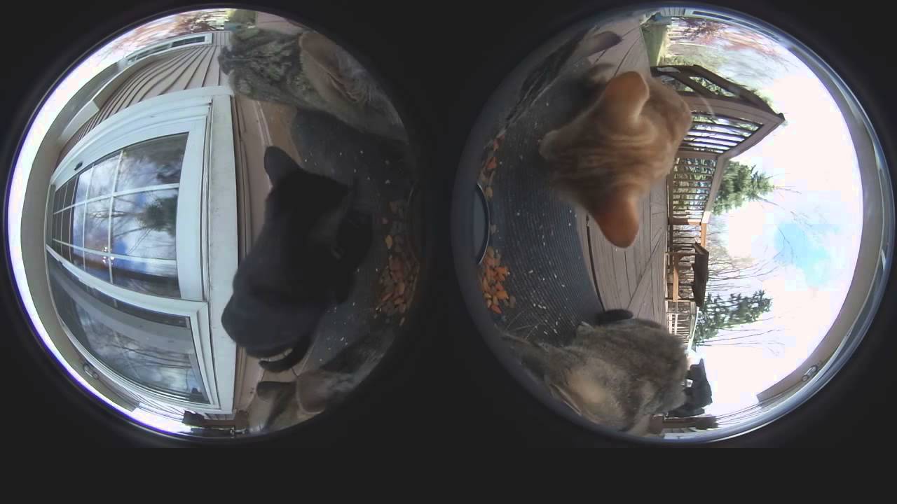 360 camera test footage - YouTube