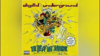 Digital Underground - Return Of The Crazy One