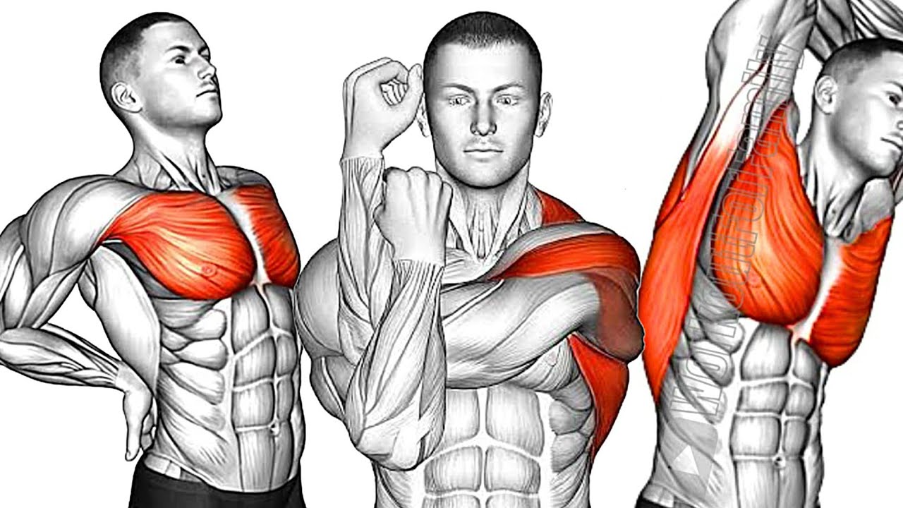 Stretch Routine 5min Male Do These 5 Min Stretching Exercises Every Morning! - YouTube