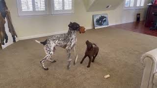 IMG 6629