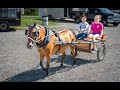 Putnam County Fair 2022 - Lone Star Rodeo  8/4/22