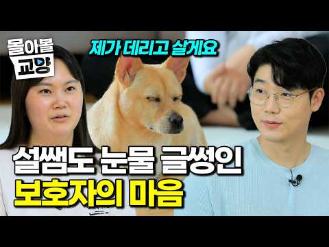 I only meant to foster... The foster parent's tearful confession during the broadcast #BingeWorth...