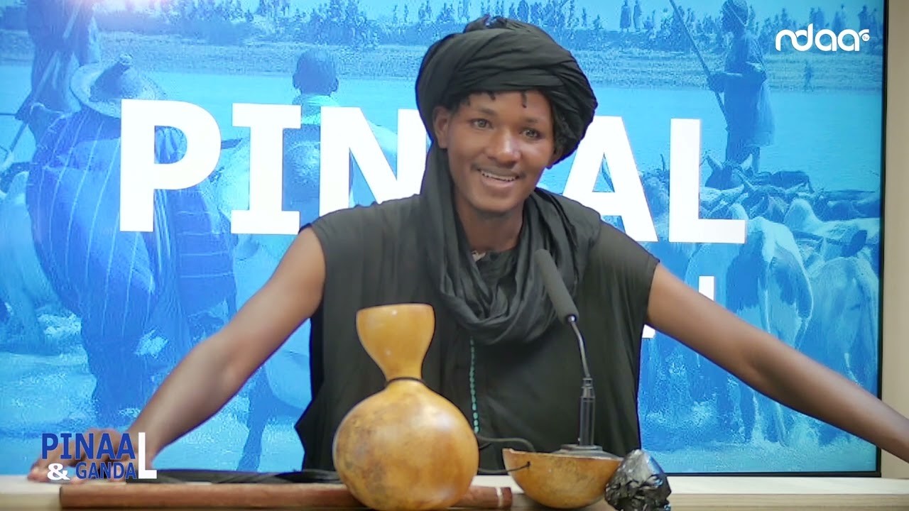 PINAAL ET GANDAL 20 07 2025