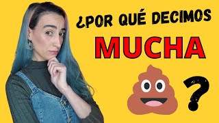 ¿POR QUÉ DECIMOS "MUCHA MIERDA" PARA DESEAR SUERTE? | EL CURIOSO ORIGEN DE ESTA EXPRESIÓN