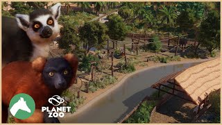 Lemur Islands | Desert Adventure Park | Planet Zoo