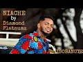 Diamond Platnumz Niache Official Video Isobanuye