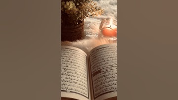 فصبر جميل والله المستعان على ما تصفون #آيات #سورة_يوسف #طارق_محمد