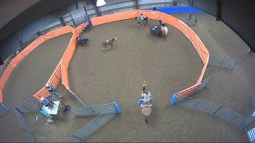 Big Sky Ranch Sorting Saddle Series #3 - #7 Sort - Round #1 - Ride #37