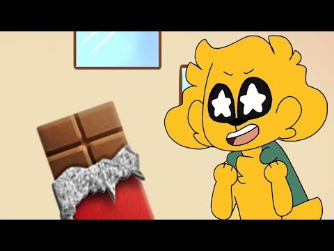 Video: La Toxicidad Del Chocolate Llega A Casa Cuando El Perro Come Toda Una Barra De Chocolate