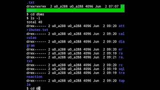 chmod, date, more, pr Linux command practical in Hindi