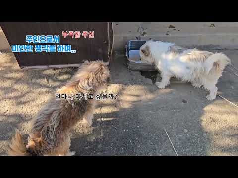 (주인으로서) 미안한 생각을 하며...  (主人として)すまない考えをしながら···  (As the owner)I'm sorry...