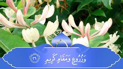 كَمْ تَرَكُوا مِنْ جَنَّاتٍ وَعُيُونٍ _ تلاوة مباركة للقارىء عبدالرحمن العوسي