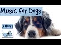 8 Hours of RelaxMyDog Music! Soothing Music for Dogs