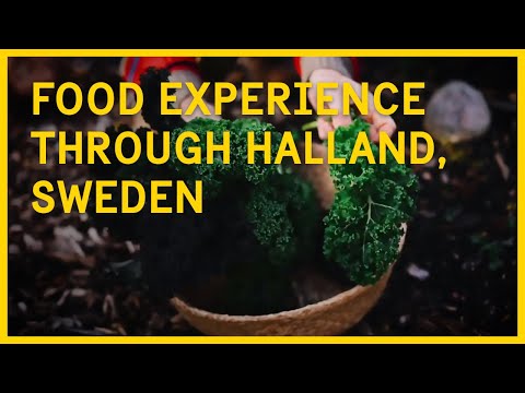 A close to nature food experience in Halland