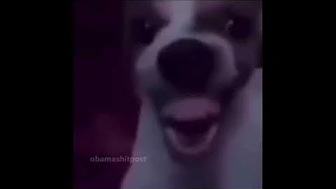 My goofy Ahh Brother