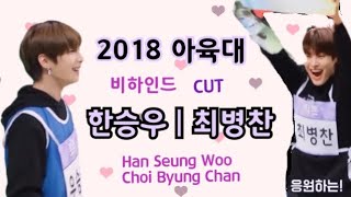 [한승우/최병찬] 아육대 비하인드 승우 병찬 CUT / Seung Woo Byung Chan