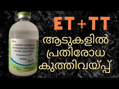 എന്ററോടോക്സിമിയ , ടെറ്റനസ് ആടുകളിൽ പ്രതിരോധ കുത്തിവയ്പ്പ്