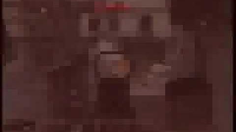 CoD4 MrBojangles619 MP5 Montage