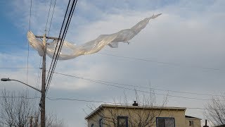 Miniatura de vídeo de "Mount Eerie - Belief pt. 2 (with Julie Doiron) official audio"