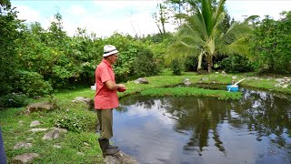 90% of His Family's Food is Homegrown Through Permaculture & Aquaculture